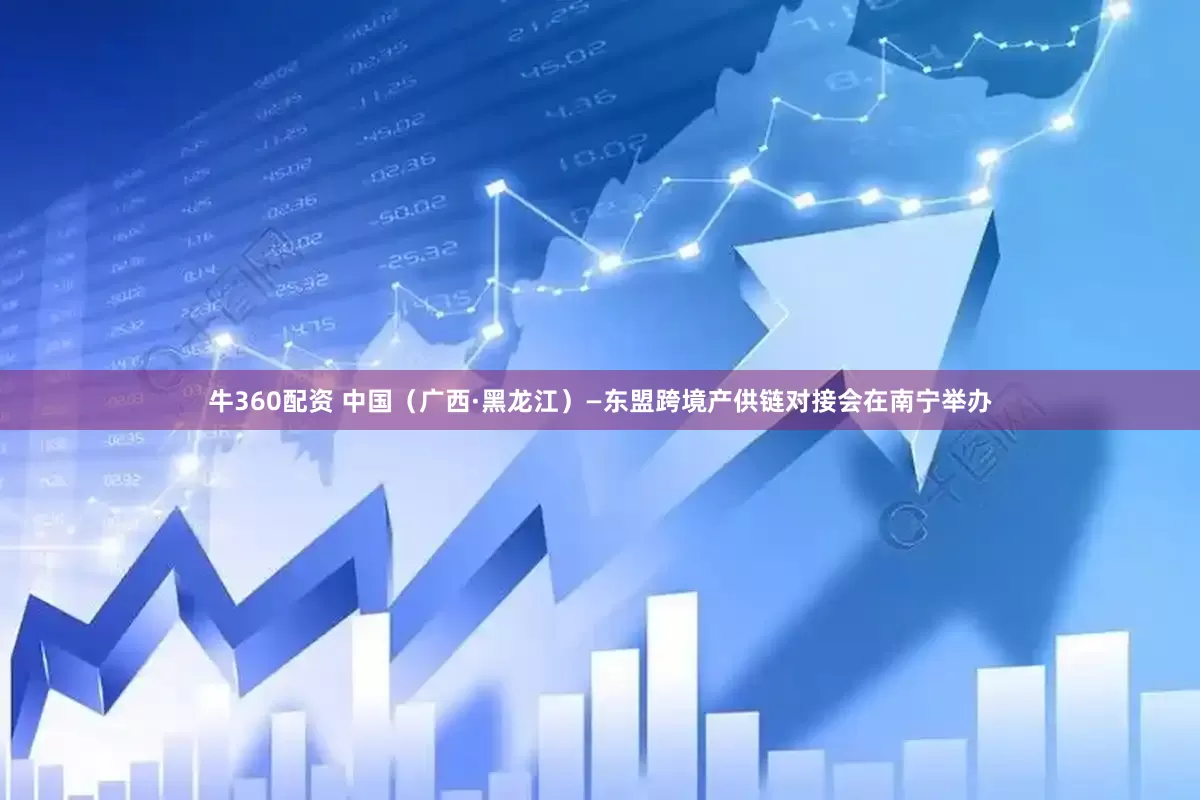 牛360配资 中国（广西·黑龙江）—东盟跨境产供链对接会在南宁举办