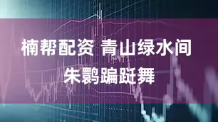 楠帮配资 青山绿水间 朱鹮蹁跹舞